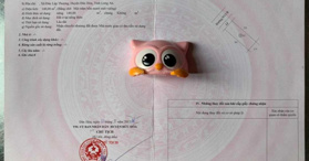 Bán sỉ và lẻ 10 lô đất KĐT Daresco (Resco) Đức Hòa, Long An- LH: 0905318567