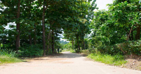 Cần bán đất view hồ Trị An, sổ hồng riêng, cách hồ Trị An 150m, Định Quán - LH: 0912157978