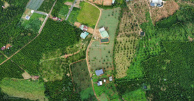 Bán gần 3 hecta đất thôn An Hòa, Xã Lộc An - LH: 0907121070