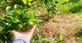 Bán đất Xã La Ngà, H. Định Quán, tỉnh ĐN(DT 1000m2) đất đẹp - Định Quán - LH: 0932737899