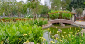 Bán nhanh căn liền kề ST5 thô Yên Sở, Hoàng Mai, Hà Nội- LH: 0941670869