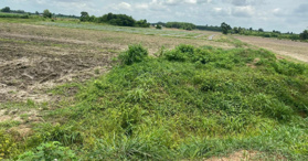 Bán gấp 2,5 hecta đất vườn giá rẻ, Châu Thành, Tây Ninh - LH: 0902944408