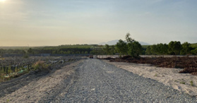 Bán đất sào Cù Chính Lan cách nhựa 40m - DT 2000m2 - Bình Thuận - LH: 0933385145