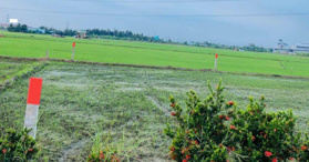 Bán đất gần trường học Bình Lãng, Tân Trụ, Long An- LH: 0764639839