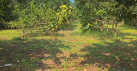 Bán đất mặt tiền Xã Phước Sang, Phú Giáo, Bình Dương, DT 500m2, LH: 0848736828