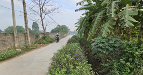 Bán đất vườn có sổ, ngay sát khu dân cư tại Sài Sơn, Quốc Oai - LH: 0984506590