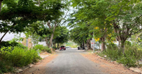 Chủ cần bán gấp lô 848m2, có 280m2 thổ cư, cách biển 100m, giá 16tr/m2 LH: 0339775875