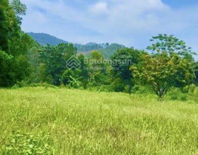 Bán đất nghỉ dưỡng, trang trại 2858m2  tại Ngọc Thanh, Phúc Yên 0943906735 