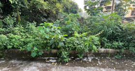 Bán gấp lô đất dân sát khu công nghệ cao, mặt tiền 14m, full thổ cư - Thạch Thất - LH: 0976014893