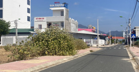 Cần bán đất giá rẻ, chính chủ tọa lạc trên đường N3-6/N3-9 Cam Hải Đông. LH: 0798347626