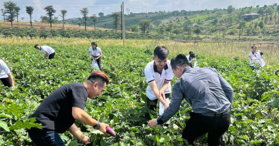 Bán lô đất giảm 40%, giá tốt - ngay TP. Bảo Lộc - LH: 0981587578