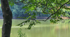 Bán đất view hồ tại xã Vũ Bình Hòa Bình 1000m2 