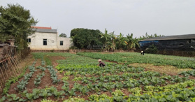 Bán đất tại đường Tỉnh lộ 199 xã Đông Tảo 0961532168 