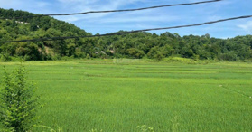 Bán đất ở tại xã Thanh Sơn Lương Sơn Hòa Bình 1232m2 - LH 0965802298