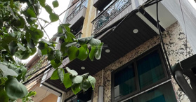 Bán toà chung cư mini Ngõ Cầu Giấy 75m2 - LH 0868886862