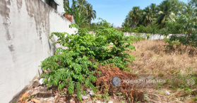 Bán lô đất gần Vincom Sa Đéc LH  0931829701