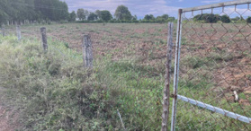 Bán 1200m2 đất vườn hồng liêm 275tr cách QL1A 600m, Bình Thuận - LH: 0938677909