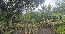 Bán đất đẹp sổ hồng trung tâm thị trấn Ba Hàng Đồ, tỉnh Hòa Bình 285m2 0942242046