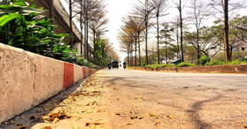 Bán đất Nguyễn Đình Hoàn - Cầu Giấy 64m2 - LH 0982508438 