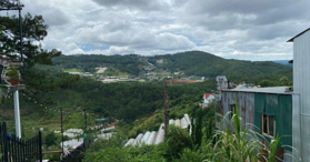 Bán đất rừng thông  Hoàng Hoa Thám, Đà Lạt- LH: 0971786278