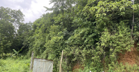 Bán đấu giá 149m2 BĐS tại Xóm Quý, thôn 3, xã Cộng Hòa, huyện Quốc Oai - LH: 0919933260