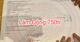 Bán đất tại Đường Liên Thôn, Thủy Nguyên, Hải Phòng - Tel: 0338652260
