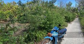 Bán lô đất vườn 560m2 đường bê tông cực đẹp tại Đảo Phú Quý giá 875 triệu - LH: 0933500823