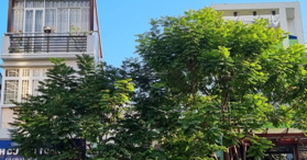 Bán nhà MT ở Phường Nguyễn Cư Trinh, Quận 1, Hồ Chí Minh - LH 0901369345