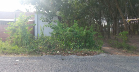 Bán đất 2 mặt tiền nhựa ấp Chánh, Hiệp Thạnh Gò Dầu, TN - LH: 0393666722