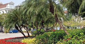 Bán biệt thự lô góc khu C Ciputra, 638m2, mặt tiền 50m, mật độ XD 40%, Tây Hồ - LH: 0966068558