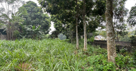 Bán nhanh lô đất 1427m2 đất ở 100m2 trục chính thôn Muỗi, xã Yên Bài, Ba Vì, Hà Nội- LH: 0384556888