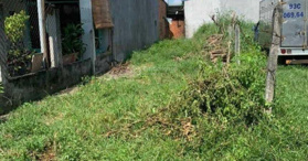 Bán gấp miếng đất ở Giồng Cát, X.Tân Phú Trung, H.Củ Chi - LH: 0764576994