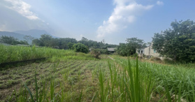 Bán lô đất khu phân lô giáo viên diện tích 400m2 phun thổ cư tại Yên Bài, Ba Vì, HN- LH: 0353338664