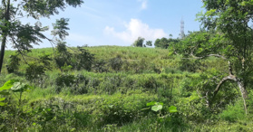 Bán đất xóm Đất Đỏ Xã Liên Sơn, Huyện Lương Sơn Hòa Bình 0987013588