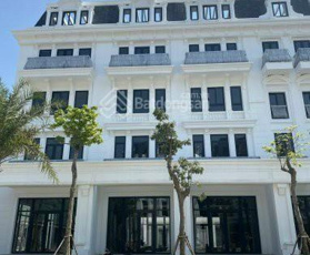 Cho thuê nhà liền kề biệt thự dự án Louis City Hoàng Mai, Hà Nội- LH: 0916824999