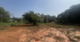 Bán lô đất nghỉ dưỡng  tại Yên Bài, Ba Vì, Hà Nội 1050m2 - LH: 0353338664