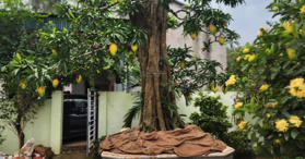 Bán lô đất ở Thôn Mái, Xã Yên Bài, Ba Vì, Hà Nội 1.007 m² - LH: 0877474199