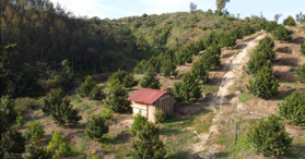 Bán đất trồng cây- đất nông nghiệp sản suất tại Lâm Đồng. LH- 0356099357