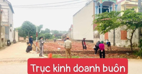 Bán đất tại đường Quốc Lộ 35, xã Bắc Sơn, Sóc Sơn, Hà Nội - LH: 0984328103