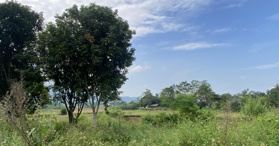 Bán lô đất full thổ cư tại Tân Lạc 1000m2 - LH 0979058383