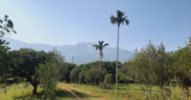 Bán trang trại, nghỉ dưỡng 2,6ha giá nhỉnh 2 triệu/m2 tại Thạch Thất - LH: 0867524384