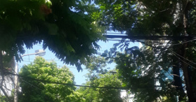 Bán 2 căn MT liền kề hoặc bán lẻ đường Thanh Long, 5.3tỷ/57. LH - 0982713584