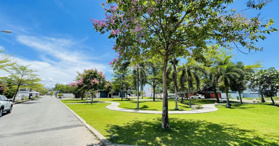 Tổng hợp giỏ hàng KĐT Mỹ Gia - Giá cần bán trong tháng 1/2024 - LH: 0905198658