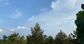 Bán 1 sào đất Phú Thịnh, huyện Tân Phú có vườn sầu riêng - LH: 0911958899