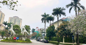 Bán biệt thự Ciputra 330m2 mặt tiền 12m Tây Hồ, Hà Nội, giá 86 tỷ - LH: 0985680788