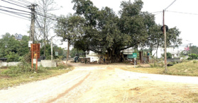 Bán đất trục chính Kim Long, Tam Dương, Vĩnh Phúc - 0965605838