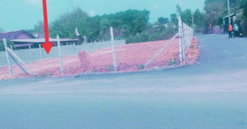 Bán lô đất MTKD Đ. Cây Trắc xã Phú Hoà Đông Củ Chi - LH: 0899357093