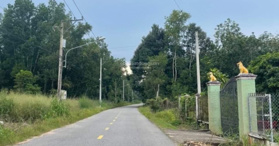 Bán gấp miếng đất 801m2, Bàng Bàu, Bình Dương. LH - 0937838958