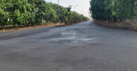 Cần bán nhanh có nhận ký gửi bán Phước An, Nhơn Trạch - LH: 0906771519