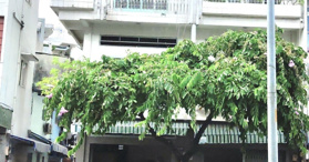 Bán gấp nhà mặt tiền Minh Phụng - Quận 11 - LH  0937111583